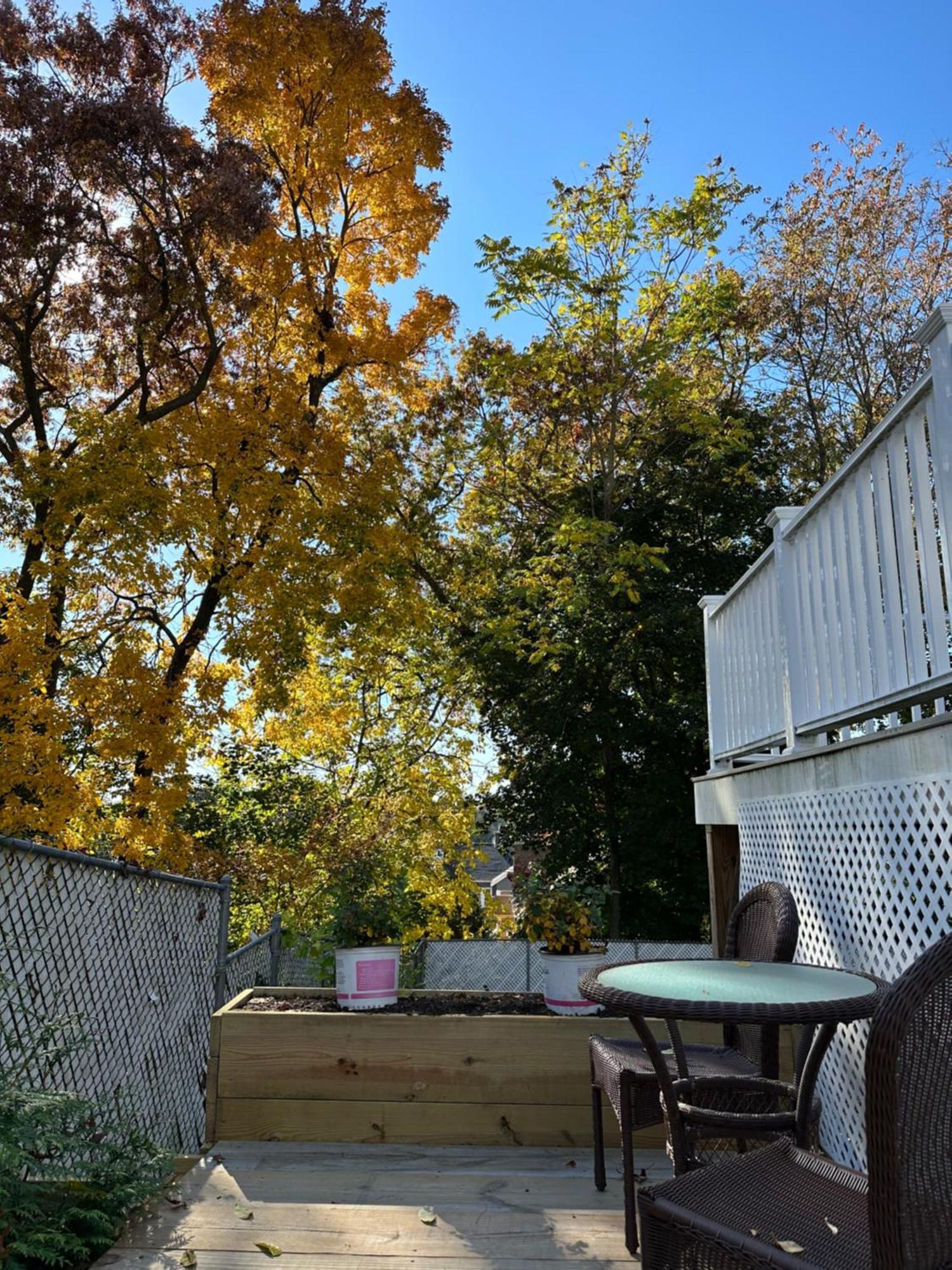 Boston Single Family House - Super Quiet And Private别墅 外观 照片